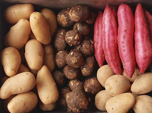 怀孕早期安胎食谱推荐,孕早期安胎食谱菜谱