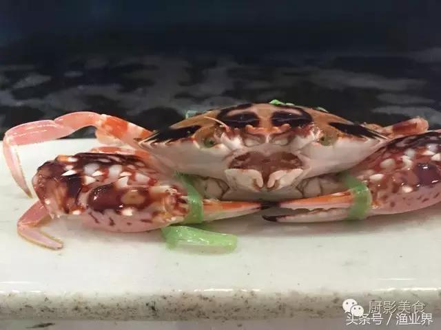 中国的螃蟹,螃蟹大赏的图片