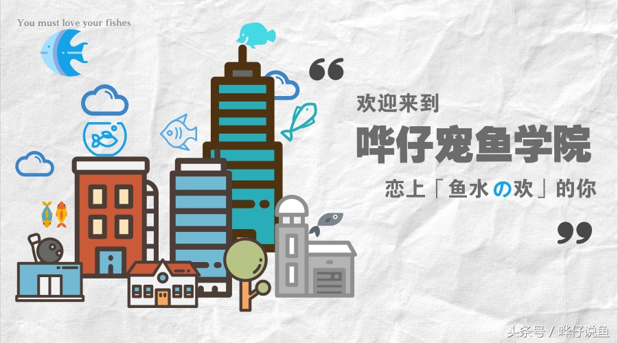 清道夫五宗罪全集,清道夫十宗罪