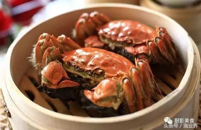 中国的螃蟹,螃蟹大赏的图片