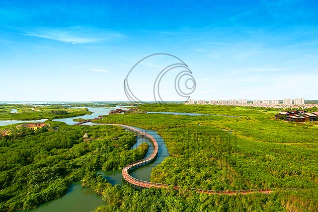 澄迈富力红树湾康养基地,澄迈富力红树湾在哪个镇