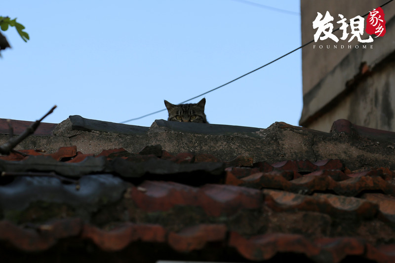 还没有爱上春江，那是因为你没来过这些地方