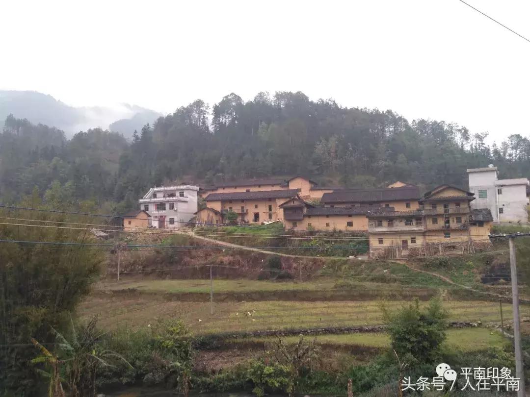 广西平南工资低，物价高，但是你为什么还要在这里赖着不走……