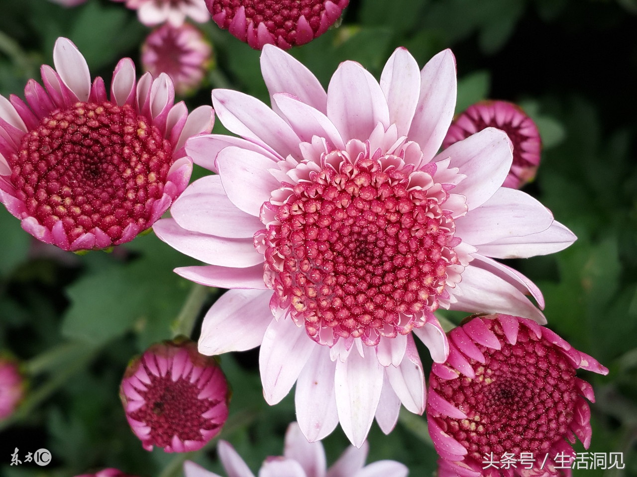 怎么样才能识破诈骗手段,生活处处是骗子套路