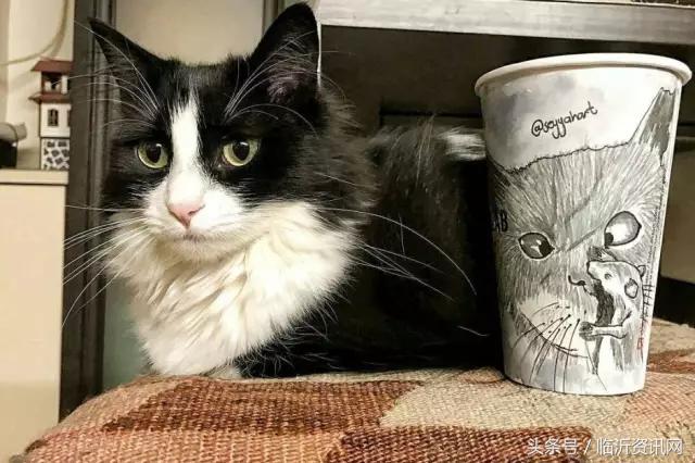 用一个纸杯就能做很多东西,用一个纸杯都能做点什么