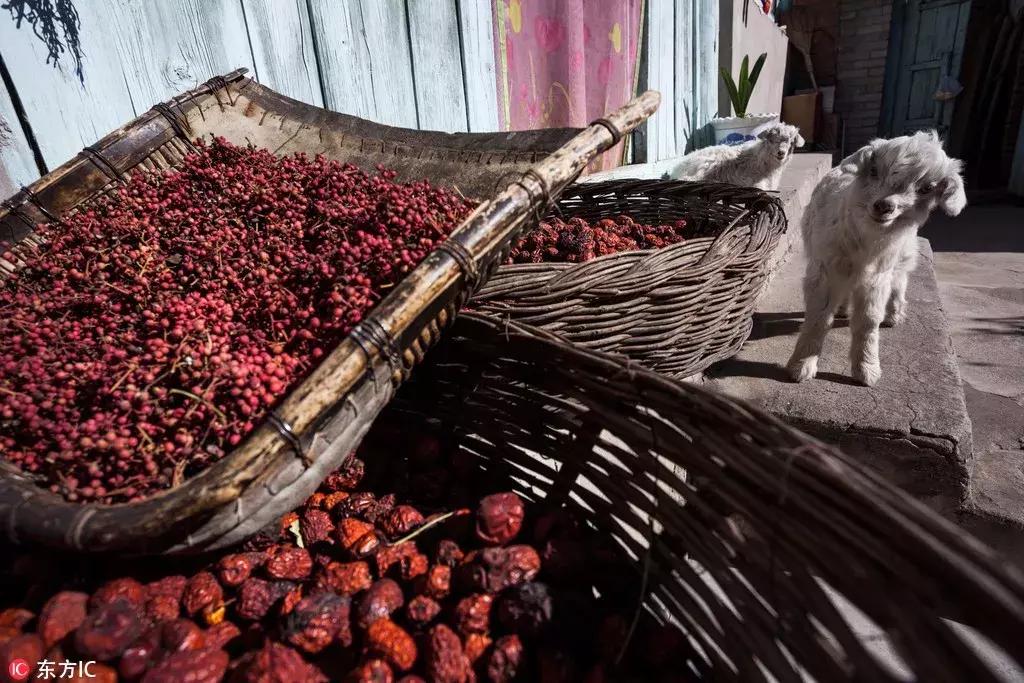 年底好消息来袭！大北京这些东西统统免费！还有精彩的活动等着你，不知道就亏大了！