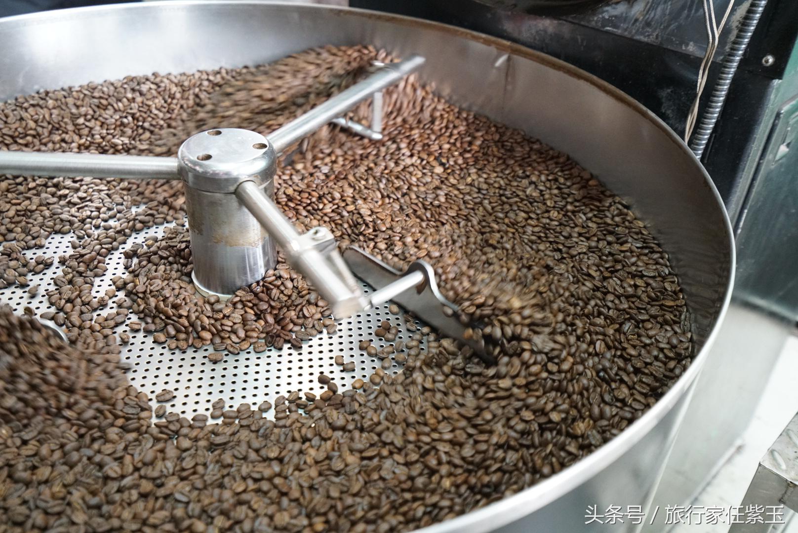 猫屎咖啡和普通咖啡有什么区别呢,猫屎咖啡和云南小粒咖啡哪个好