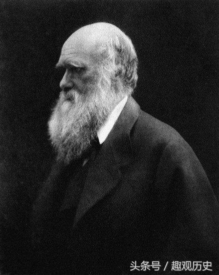 达尔文进化论是标准的吗,达尔文进化论三大来源