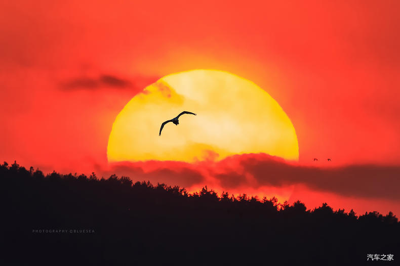 家乡之美美篇,家乡之美原唱完整版