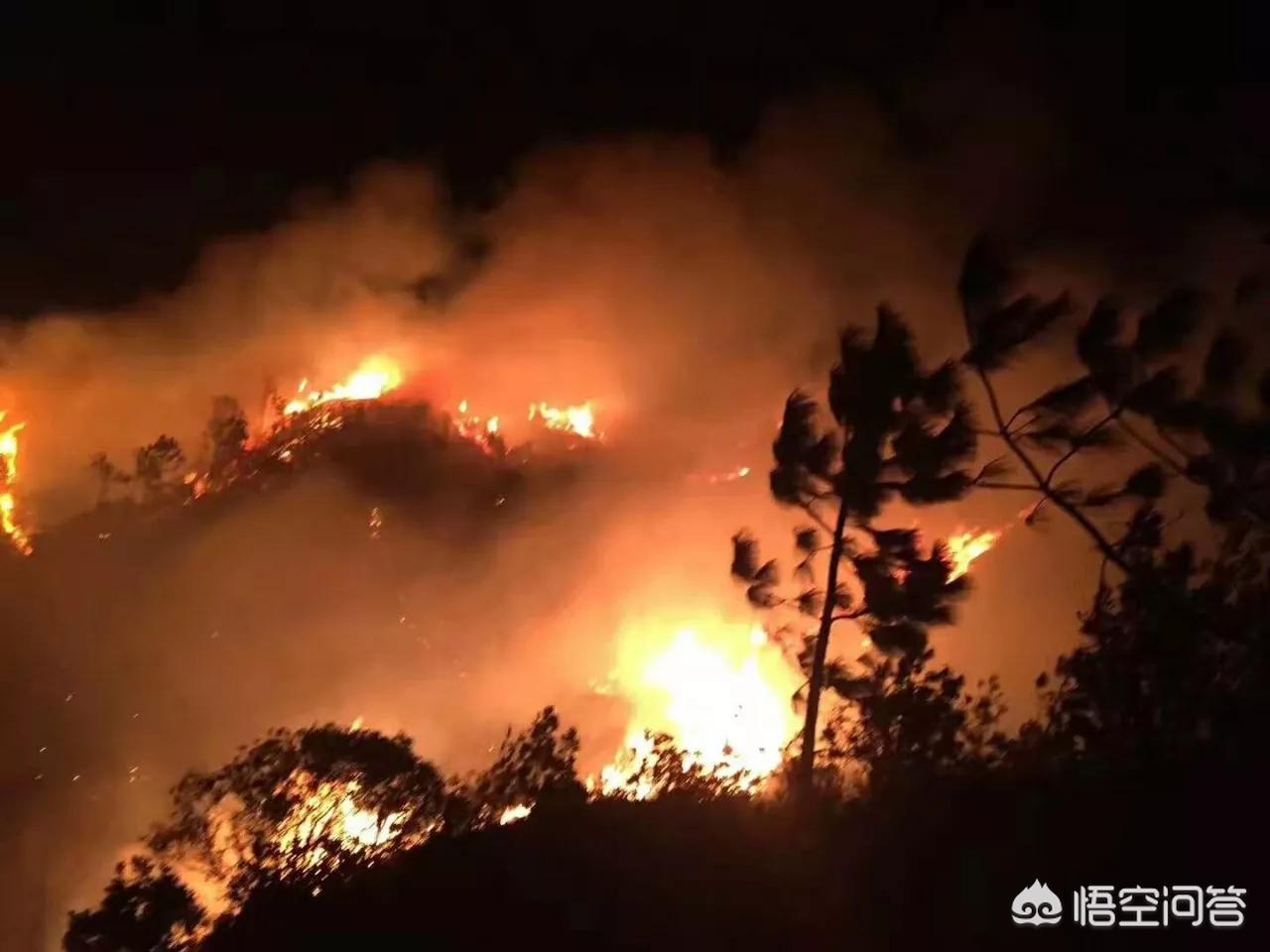 珠海市凤凰山旅游景区游玩攻略,珠海凤鸣谷风景区怎么样
