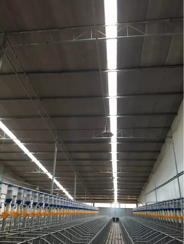 day4-5训练,day4教程全集