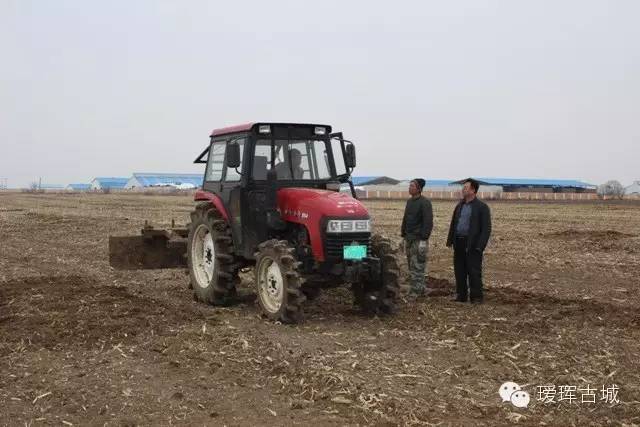 奶粉市场调查与分析,黑龙江黑河奶粉