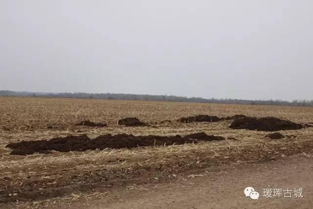奶粉市场调查与分析,黑龙江黑河奶粉