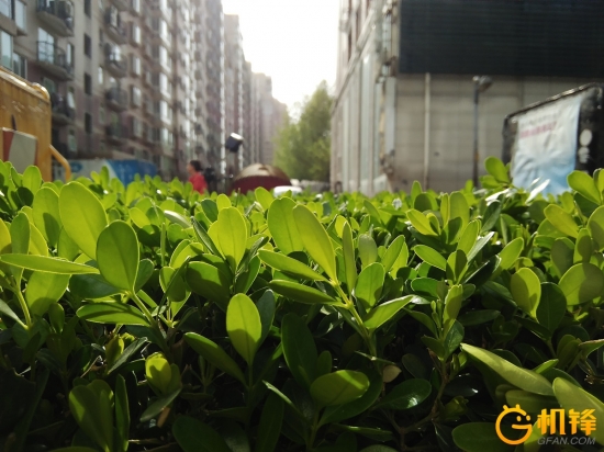 ivvi评测,ivvii3参数