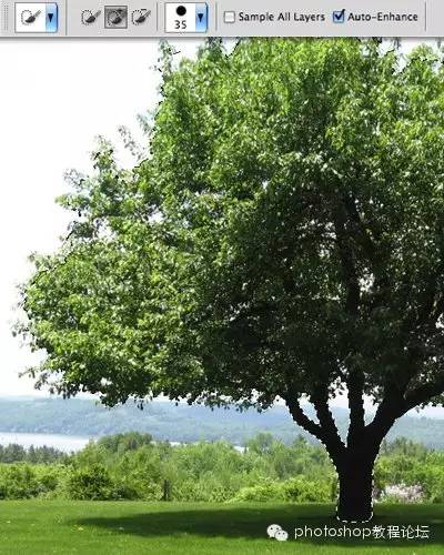 ps软件抠图教程详细步骤,ps多边形工具抠图放大