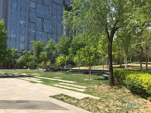 htc10,htc10测评亲身经历