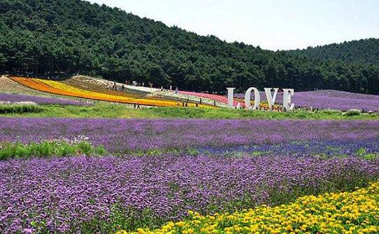 沈阳最漂亮的十大美人,沈阳女孩最漂亮的照片