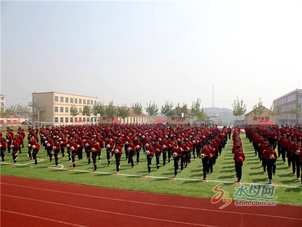 泰达足球场落成典礼,泰达足球场落成仪式