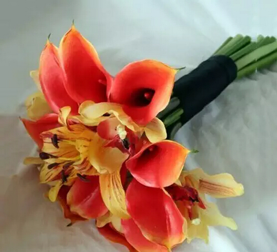 彩色马蹄莲花语象征与寓意,马蹄莲花语象征与寓意