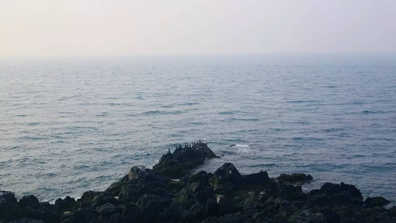 全过程记录,揭秘廉价济州岛跟团游背后的真相