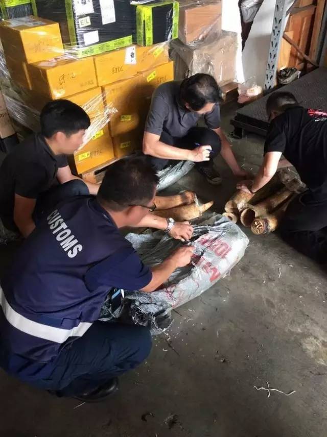 代购奢侈品涉案80万判几年,新加坡被骗8000元坐牢吗