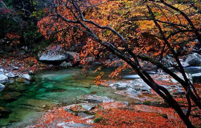 这个五一不出门完整版,巴中五一出发