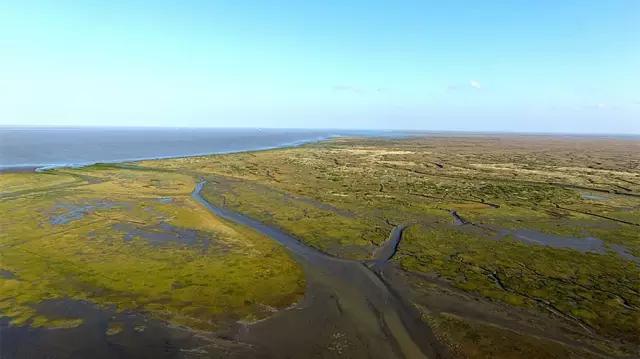 上海免费旅游景点,上海残疾人免费景点一览表