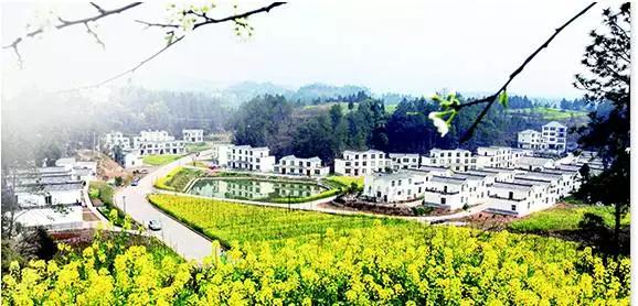 巴中56亿项目开工时间,巴中52项重点项目