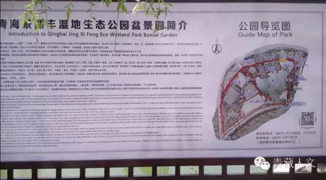 西宁景熙丰生态园,西宁景熙丰湿地公园