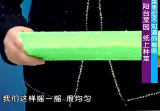 出来的五个种菜实用小技巧,纸上种菜可以种向日葵吗