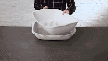 猫奴福音,猫奴拯救猫咪