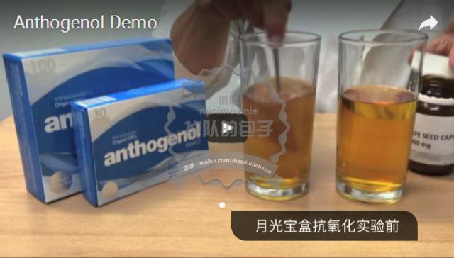 原创高能纯技术分析包子神扒月光宝盒anthogenol