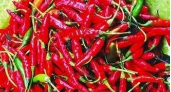 龙州旅游特产,龙州金龙有什么特产