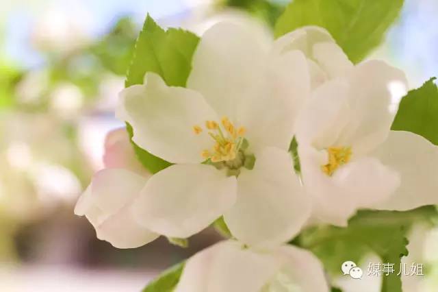 包钢三中真的要改名吗,包钢三中整体成绩怎么样