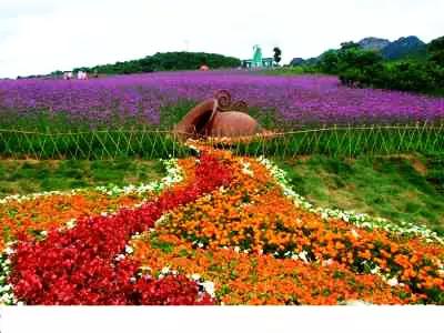 最美四月天，快来体验不一样的金州吧!最新时刻表值得收藏！