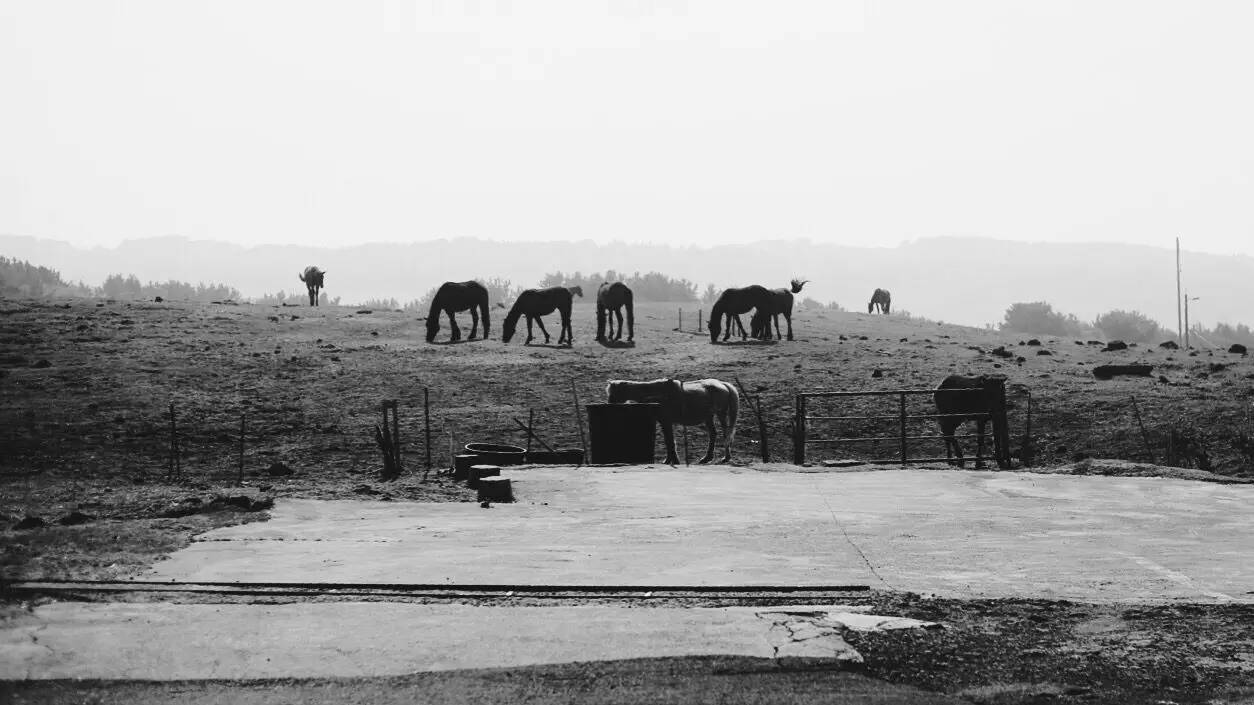 全过程记录,揭秘廉价济州岛跟团游背后的真相