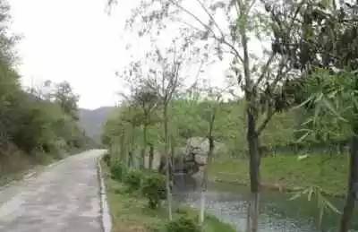 “五一武汉撒野地图”出炉！烧烤露营、游山玩水，一个都不能少！