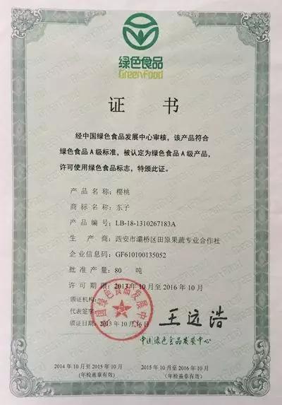 白鹿原采摘大樱桃,去白鹿原采摘樱桃