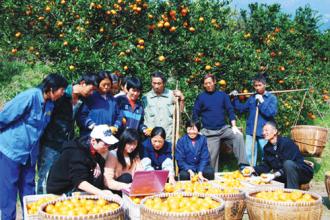 农村电商该怎么做起来的,农村电商属于批发和零售业吗