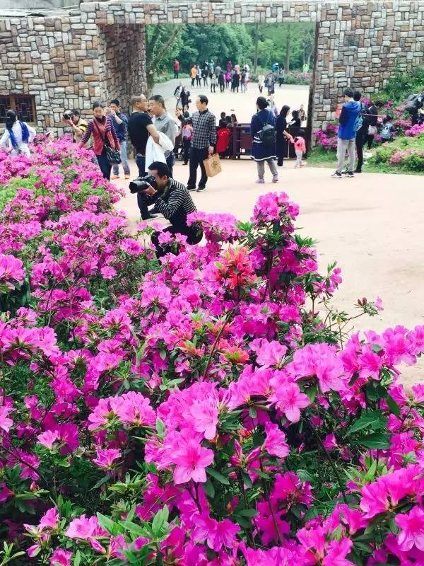 买一送一法国进口波尔多红酒,法国原瓶进口红酒多少钱