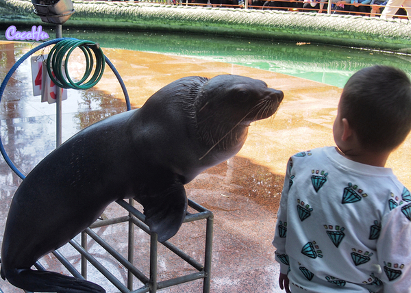 中南百草动物园,中南百草园萌宠乐园