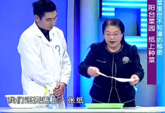 纸上种菜可以种向日葵吗,种菜小窍门两张纸就搞定