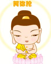 生活为什么总是那么不尽人意,生活总不会那么尽如人意