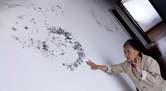 墙壁变黑发霉处理办法,白色墙壁发霉脱落了怎么办