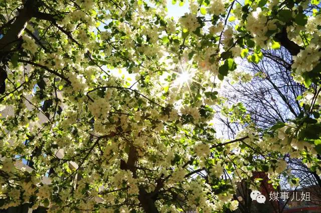 包钢三中真的要改名吗,包钢三中整体成绩怎么样