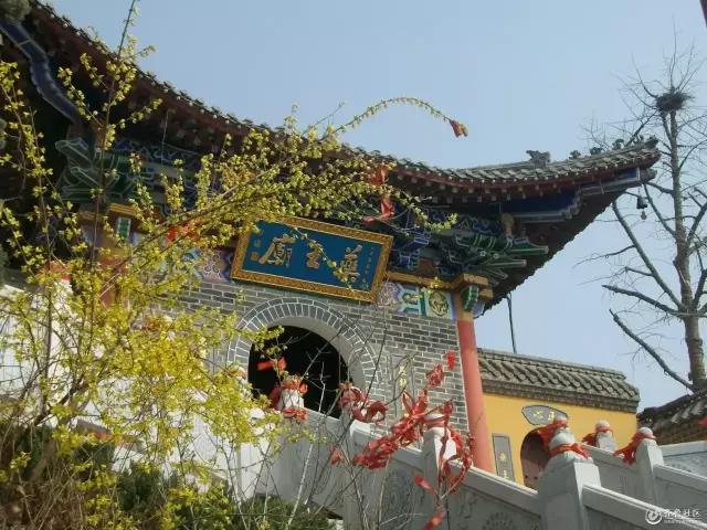 五一聊城必玩十大景区,五一聊城最美的地方