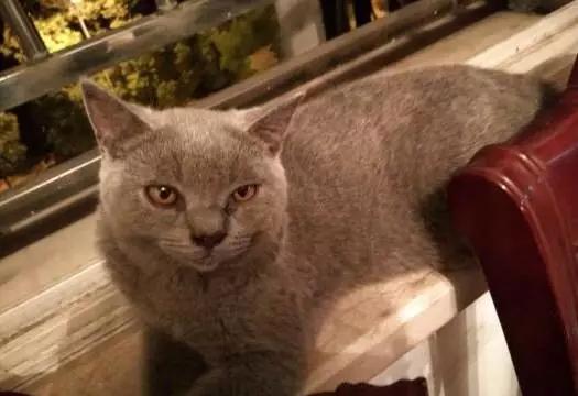 南昌青旅旅游住宿攻略,江西南昌青旅推荐