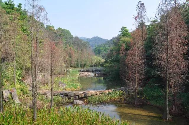 广州遛娃周边游玩好去处,广州市区遛娃打卡好玩的地方