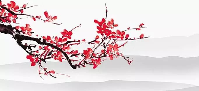 激素补充治疗的具体方案