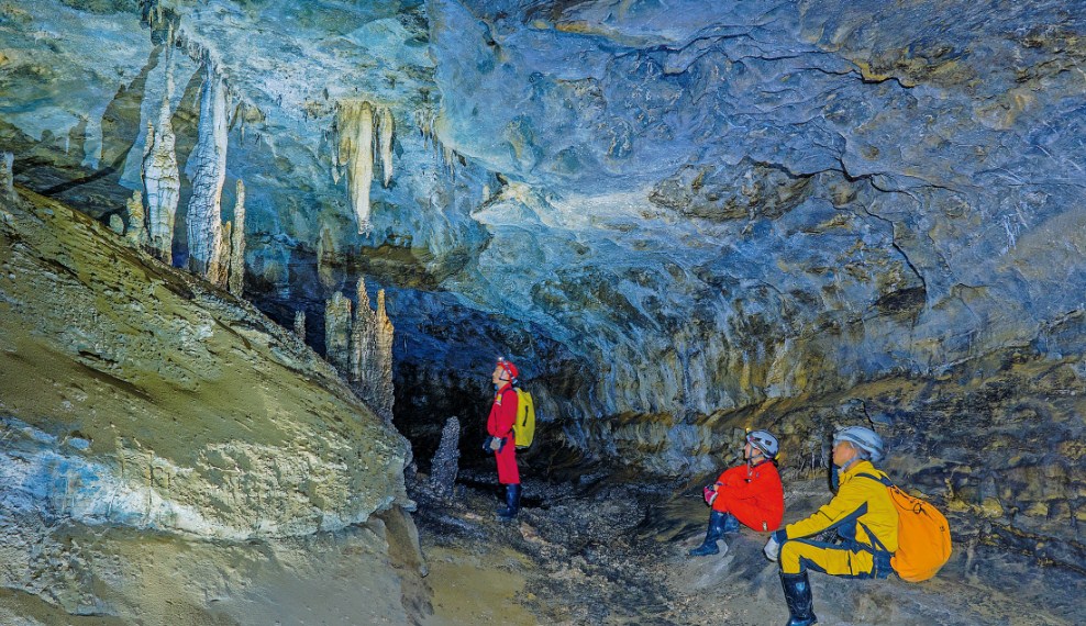 石晶花在神秘玉龙洞绽放